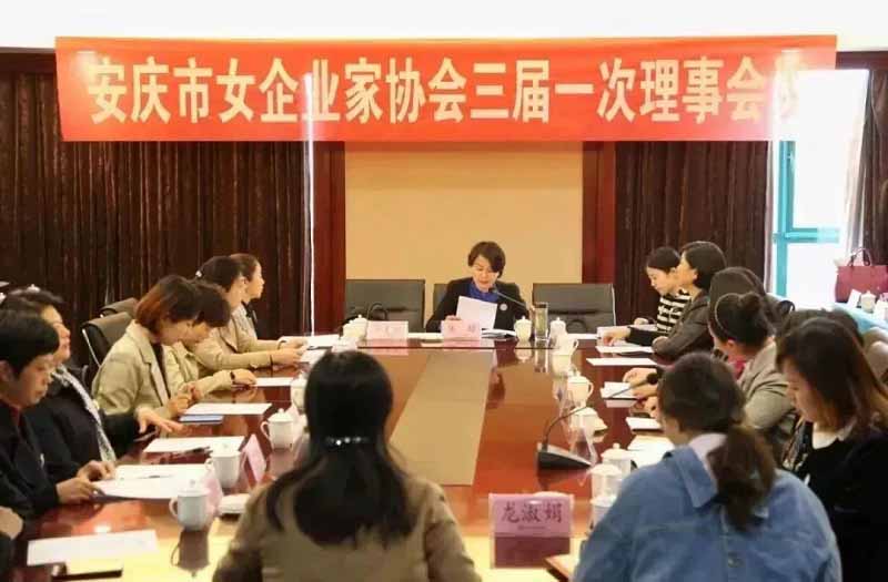 巾帼不让须眉！迈德普斯总经理龙淑珊当选安庆市女企业家协会协会秘书长