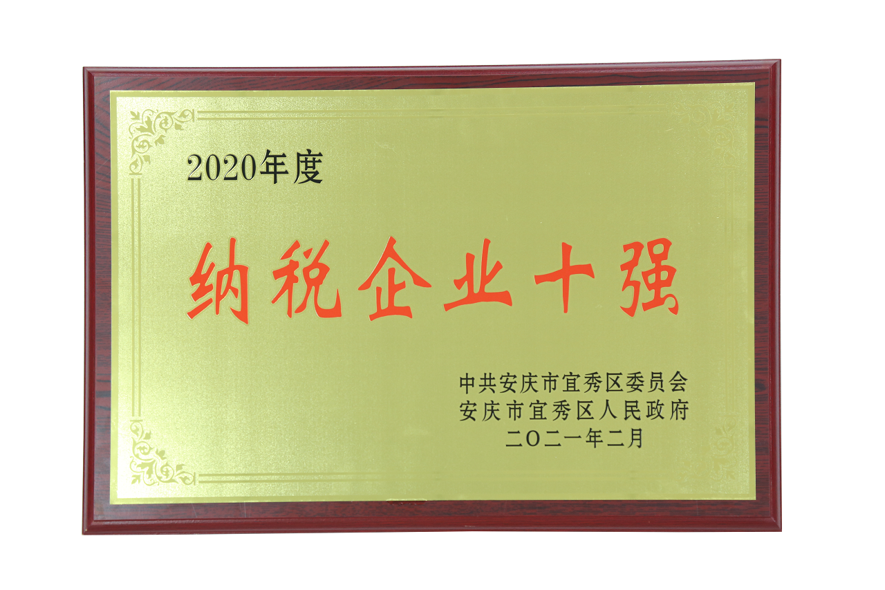安徽迈德普斯荣获宜秀区“纳税企业十强”称号