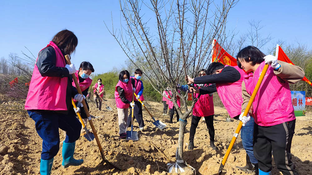 巾帼植新绿 共建美家园