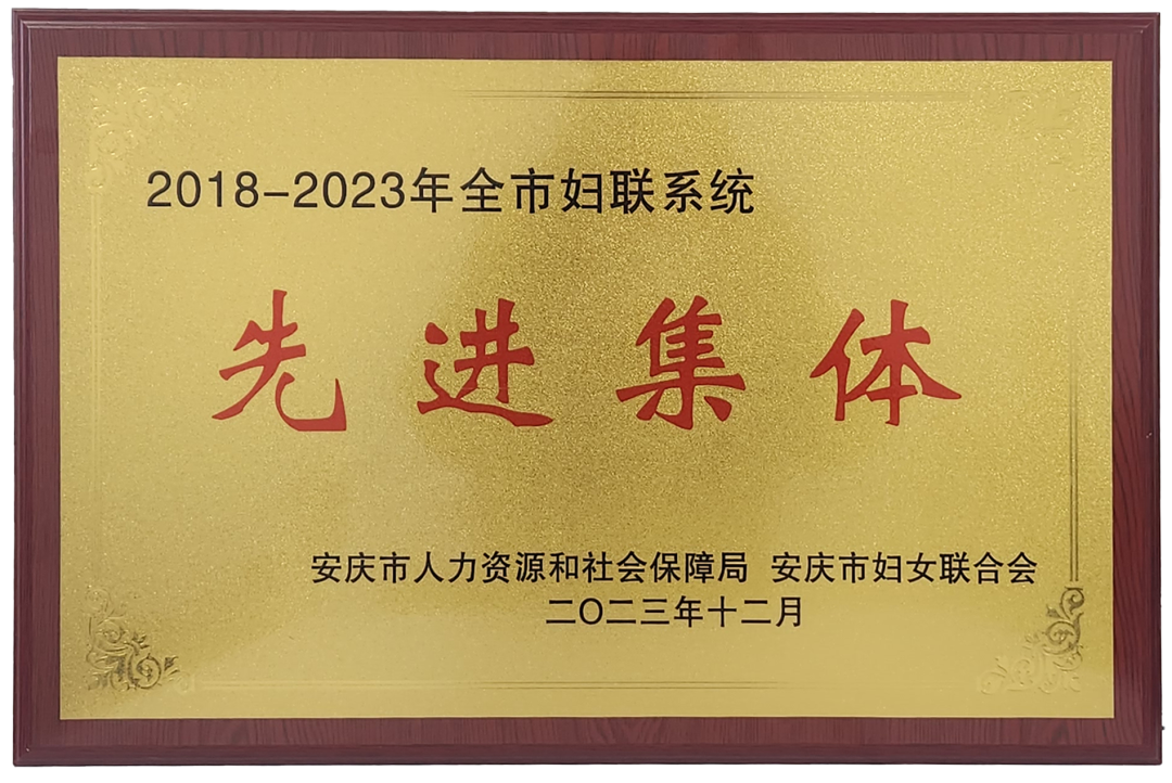 喜报！迈德普斯妇委会荣获“全市妇联系统优秀集体”荣誉称号